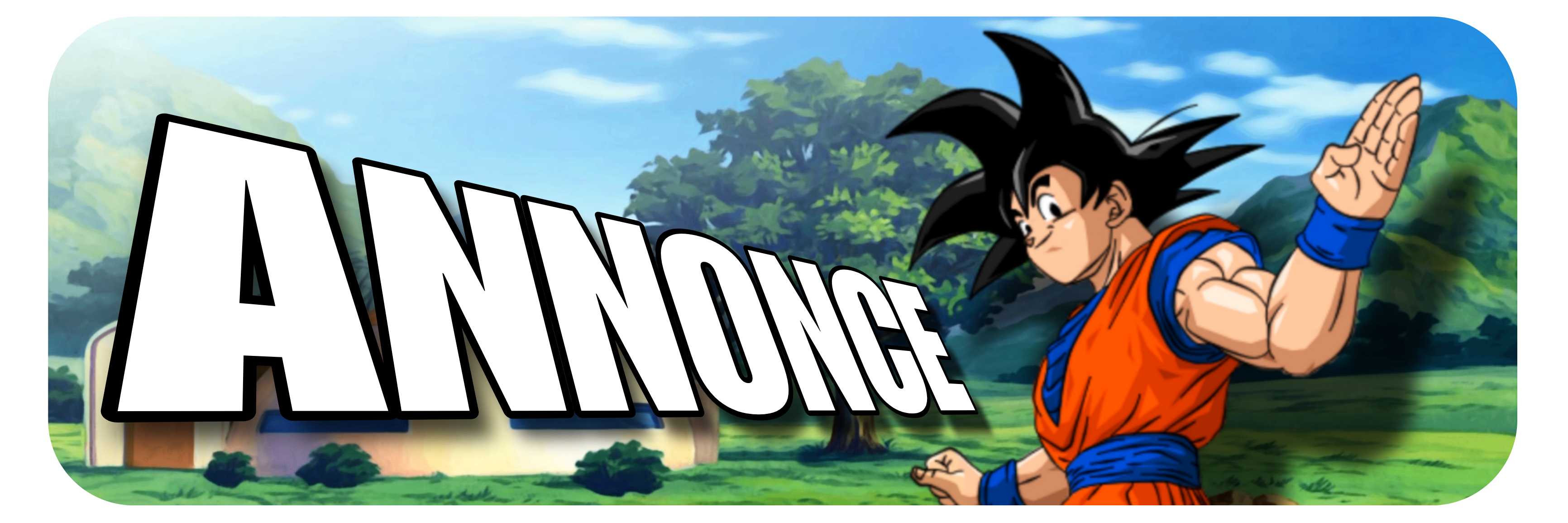 📌・annonce