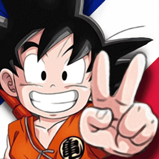 4900 FANS DE DRAGONBALL REUNIS !