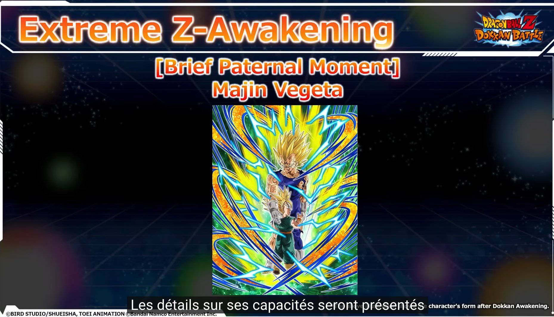Ztur du Majin vegeta int