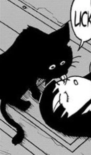 Tama (futur)