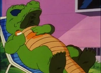 Alligator